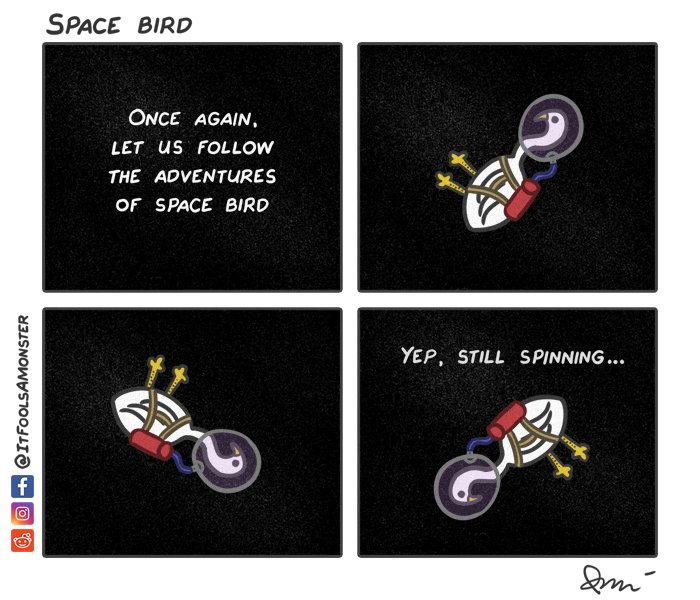 space-bird.jpg