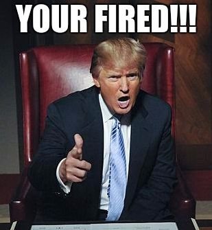 You're, Fired, Donald, j, Trump, Apprentice