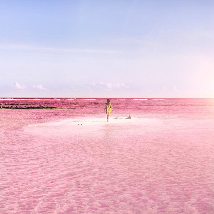 pink-lagoon-las-coloradas-mexico-15.jpg