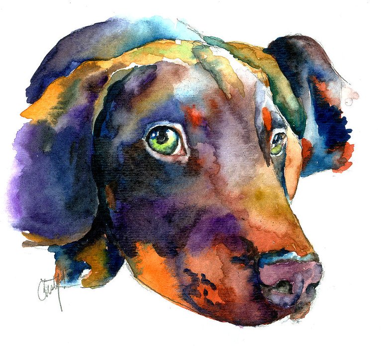 doberman-watercolor-christy-freeman.jpg