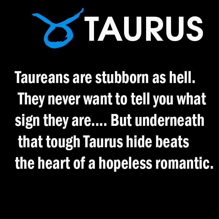 TAURUS4.png