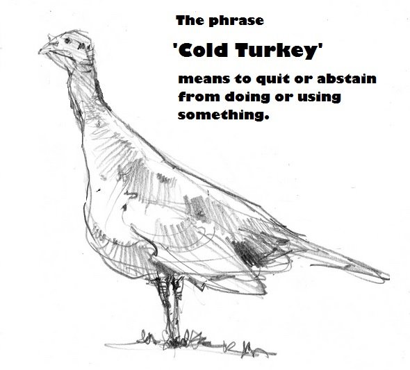 coldturkey.jpg