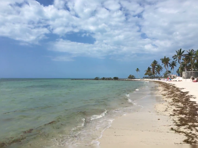 key west beach.png