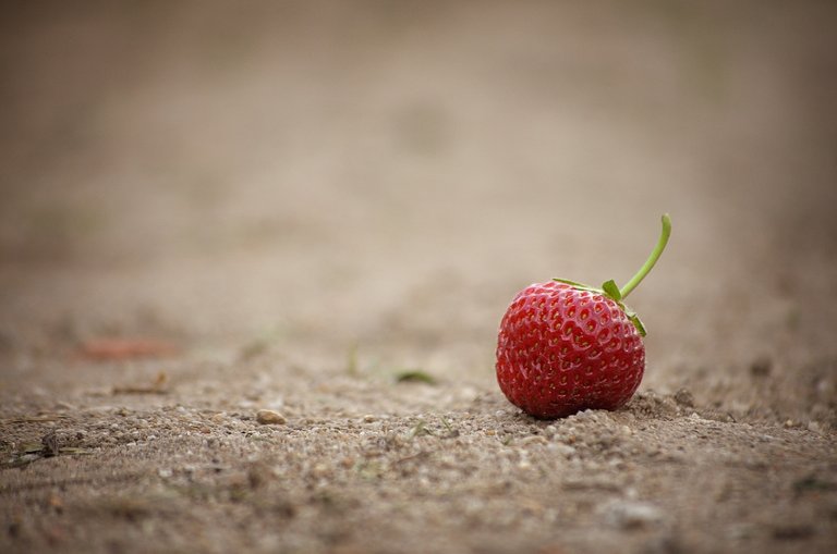 strawberry-2997834_1920.jpg