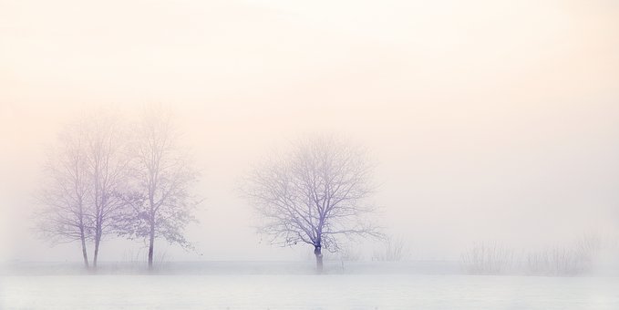 winter-landscape-2571788__340.jpg