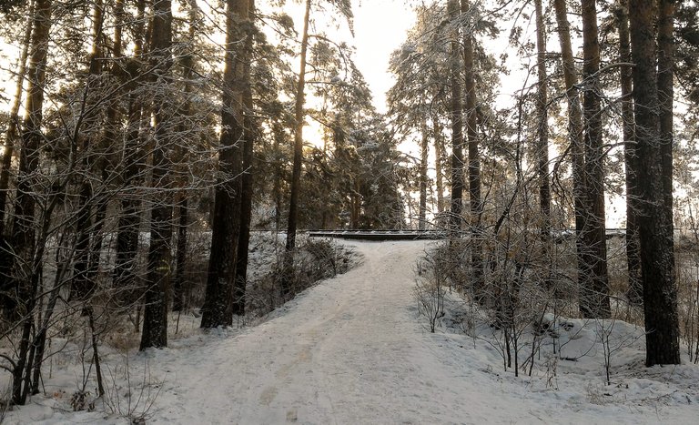 gagarinapark-002.jpg