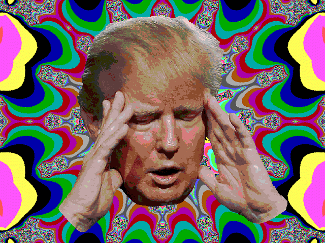 trump Lsd.GIF