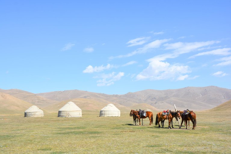 732 Kyrgyzstan : Kochkor : Songkul : Serene.jpg