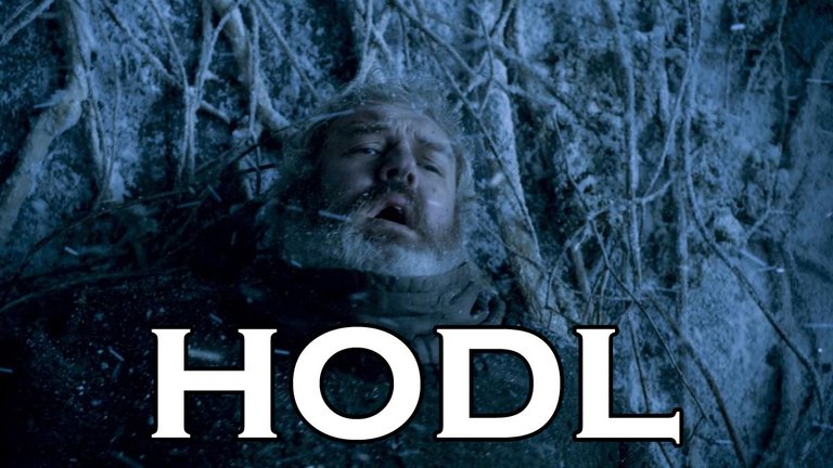 HODL.jpg