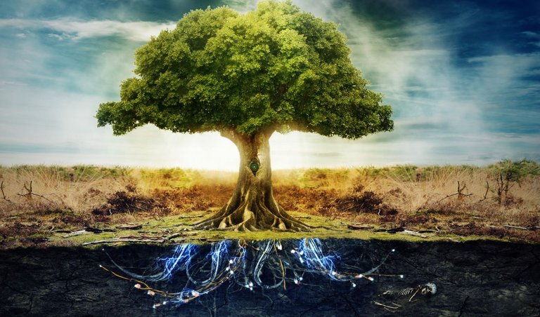 About-The-Tree-of-Life.jpg