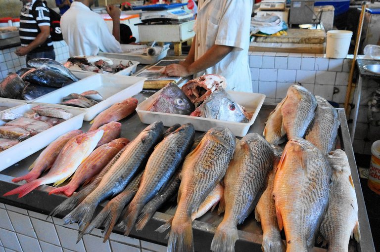 Movimentação Mercado de São José Setor de Pescados RecifePE 20032017 2.JPG