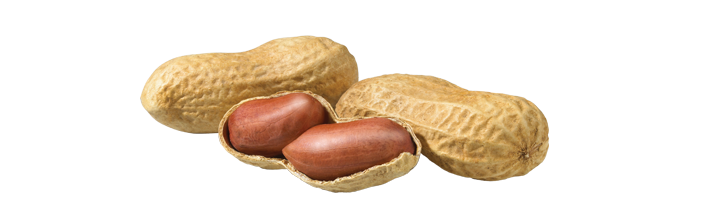 peanut-place.png