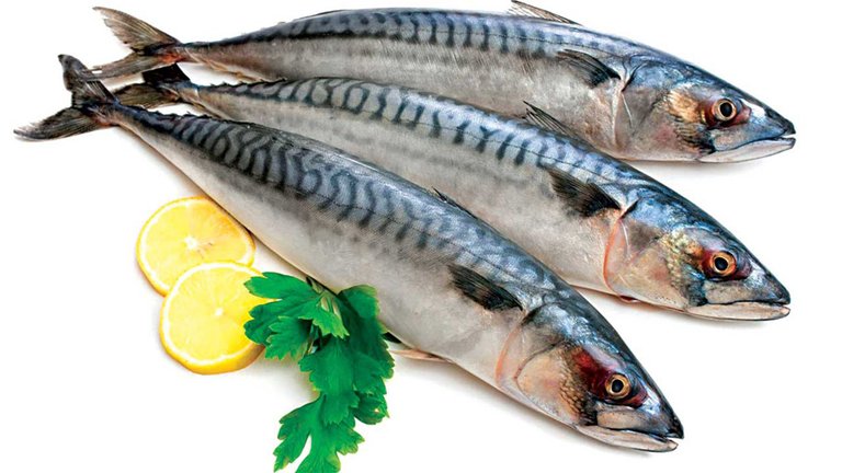 01 01. Oily fish .jpg