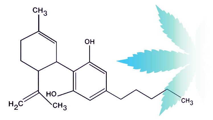 cbd-oil.jpg