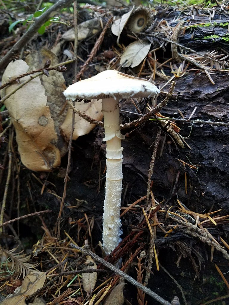 20171219_140803.jpg