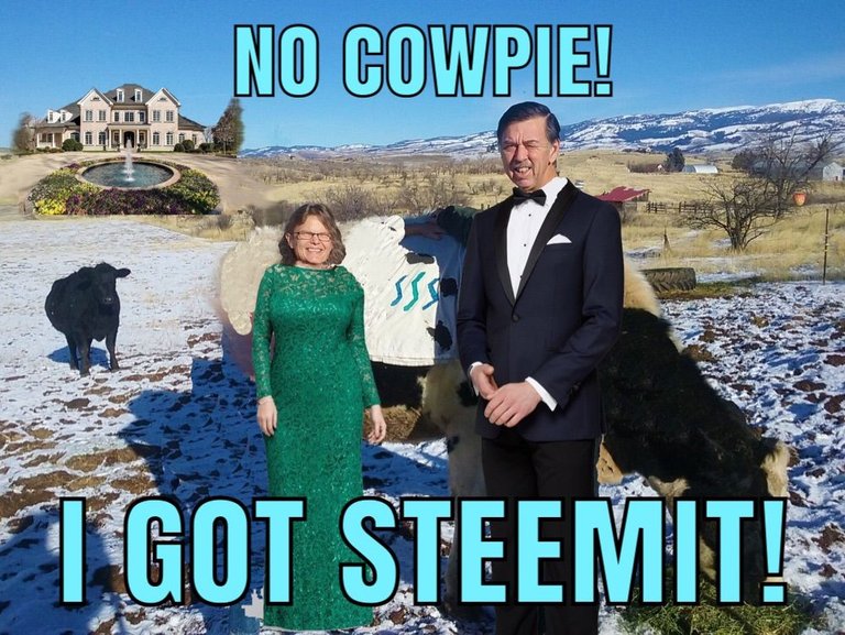 cowpie steemit.jpg