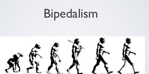 Bipedal.jpg