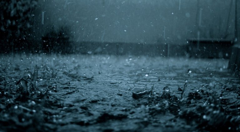 rain_7-wallpaper-2560x1440.jpg