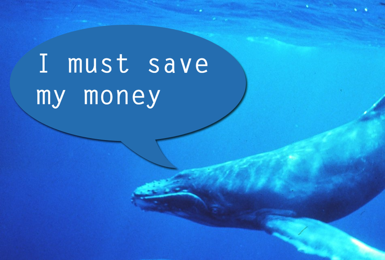 saveawhalemoney.png