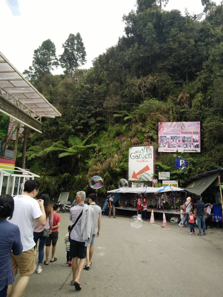 IMG20180219152059.jpg
