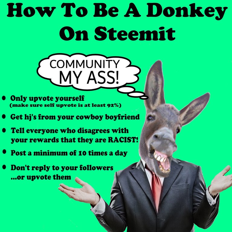 how to be a donkey.jpg