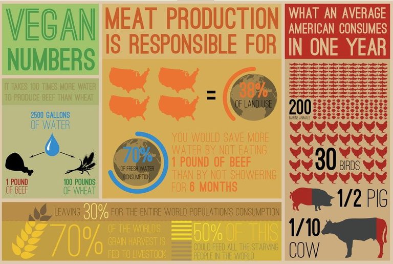 vegan-stats.jpg