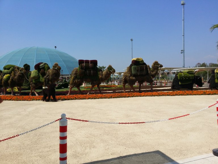 20160715_144354.jpg