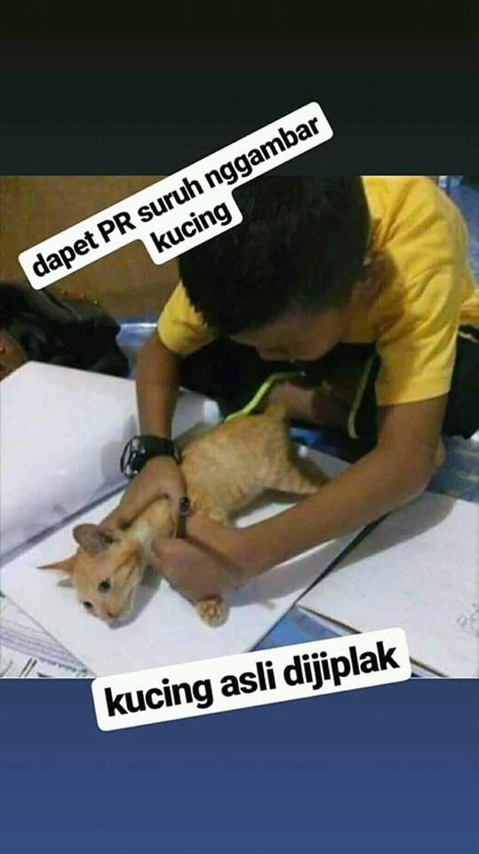 GAMBAR KUCING.jpg