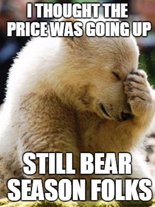 polarbearmeme.png