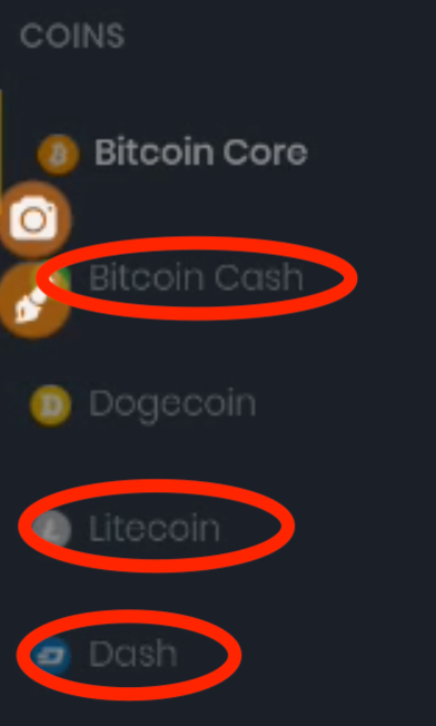 cvcoin10.png