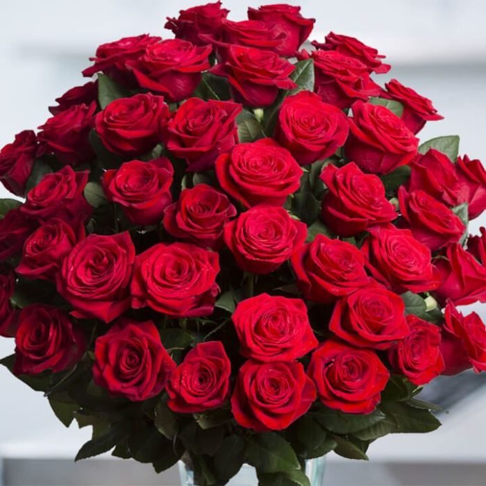 red-roses-50-set-compressor-700x700.jpg