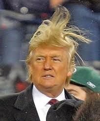 a57039e0b168f86a93ebee5e7b79c41f--donald-trump-hair-donald-trump-song.jpg