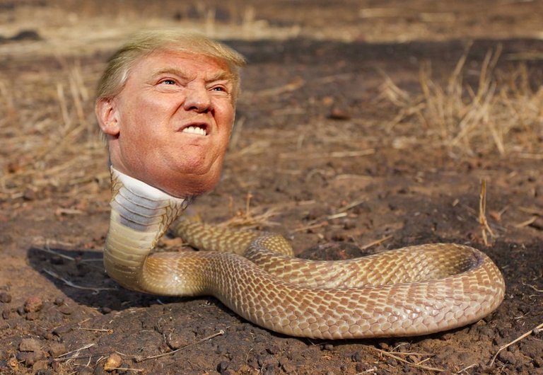 trumpsnake-1.jpg