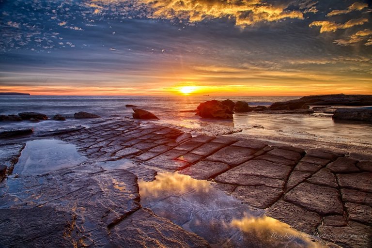 Sydney-Whale-Beach-Image-Credit-Rene-Kisselbach-Photography-1024x682.jpg