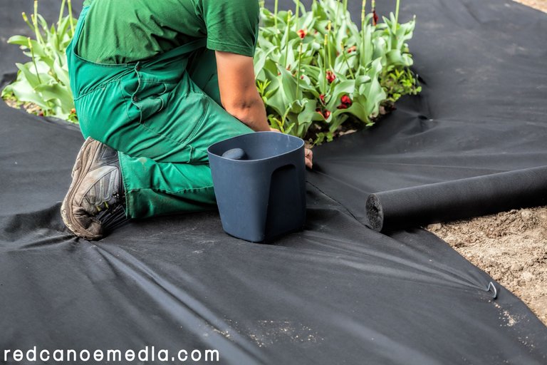Lay the Weed Barrier.jpg