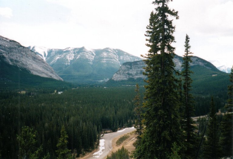 BANFF 5.jpg