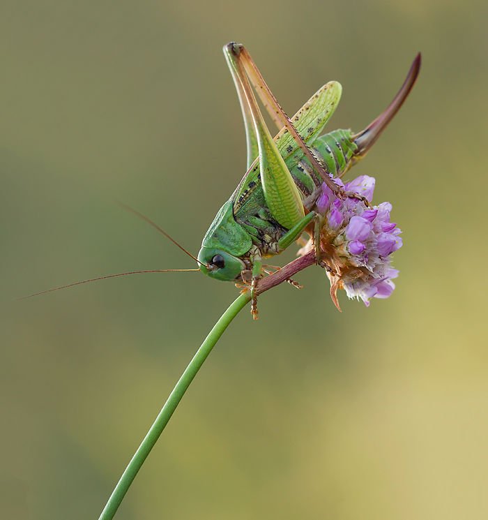 poland beauty nature (12).jpg