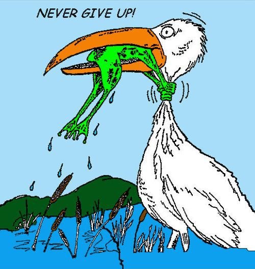 never-give-up.jpg