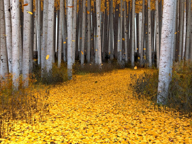 aspen_forest_3d_by_wallcrawler62-d5ddnxx.jpg