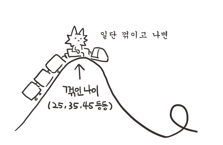 롤코3.jpg