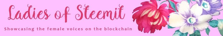 Ladies of Steemit pink Banner.jpeg