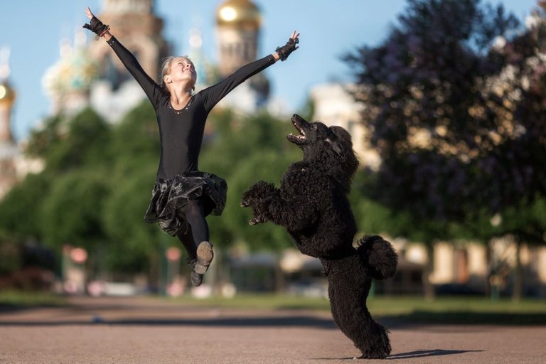 5_CATERS_BLACK_POODLE_BALLET_06-1024x683.jpg