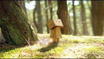 Danbo__s_Woodland_Wander_by_RyanMichael.jpg