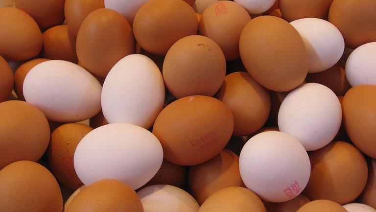 Eggs