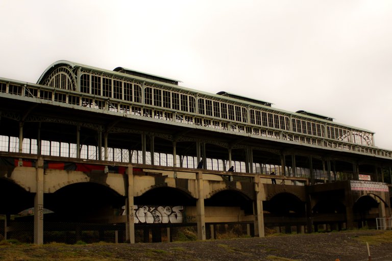 20 walk bridge.jpg