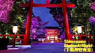 下鴨神社夜景320.jpg