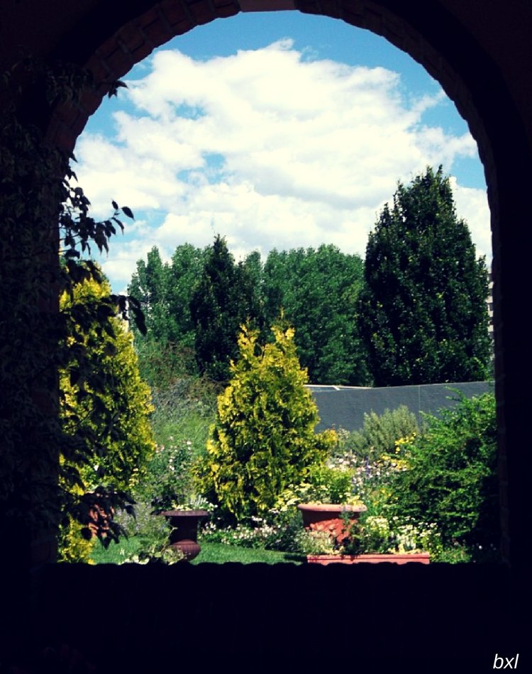 Denver Colorado botanic gardens window landscape photography bxlphabet.jpg