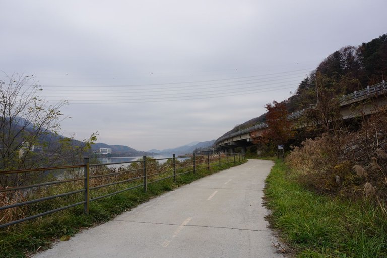 DSC09339.JPG