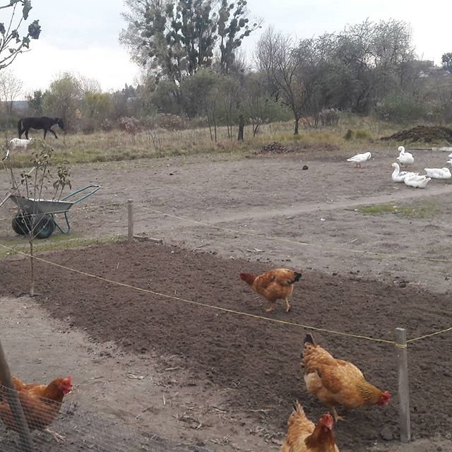 our-farm.jpg