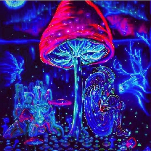 82762-Magic-Mushrooms.jpg